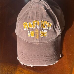 Abercrombie & Fitch Brown Distressed Cap